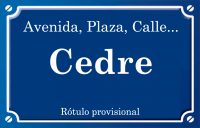 Cedre (plaza)
