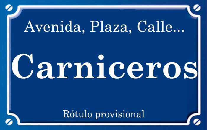Carniceros (calle)