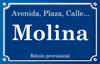 Molina (calle)